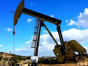 Oil
